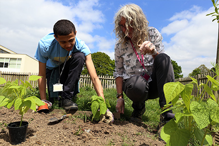 Students working in the garden